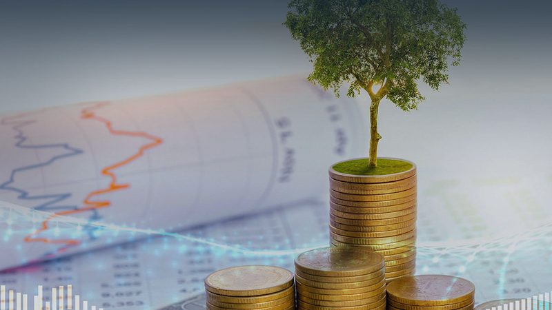 制造企业战略咨询实施：解码成功关键要素